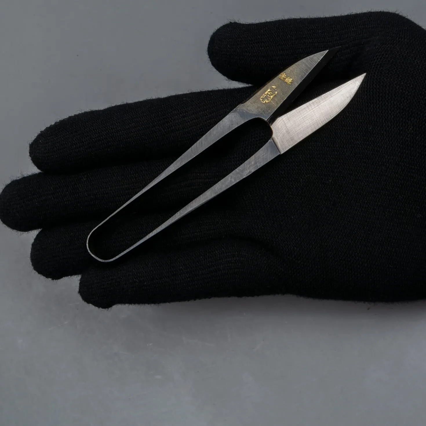 Japanse Kruidenschaar 12 cm