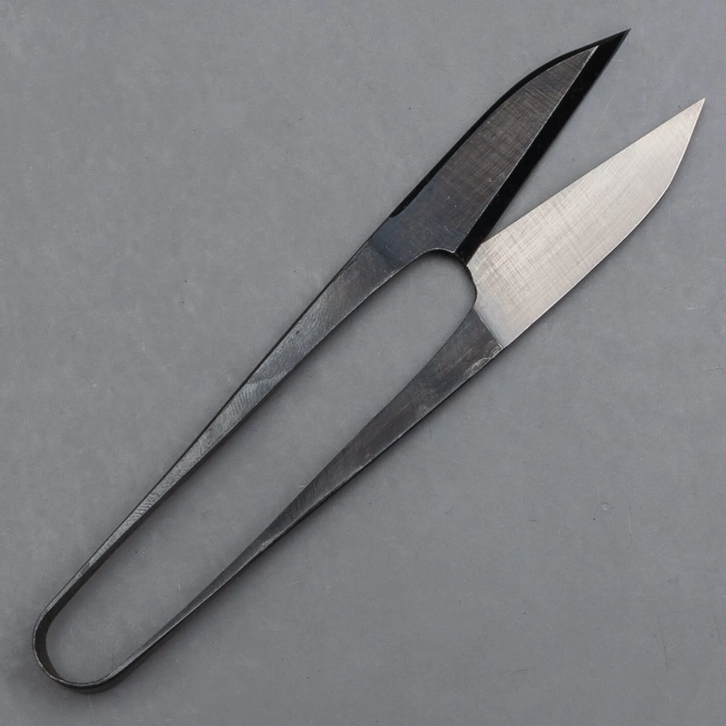 Japanse Kruidenschaar 12 cm