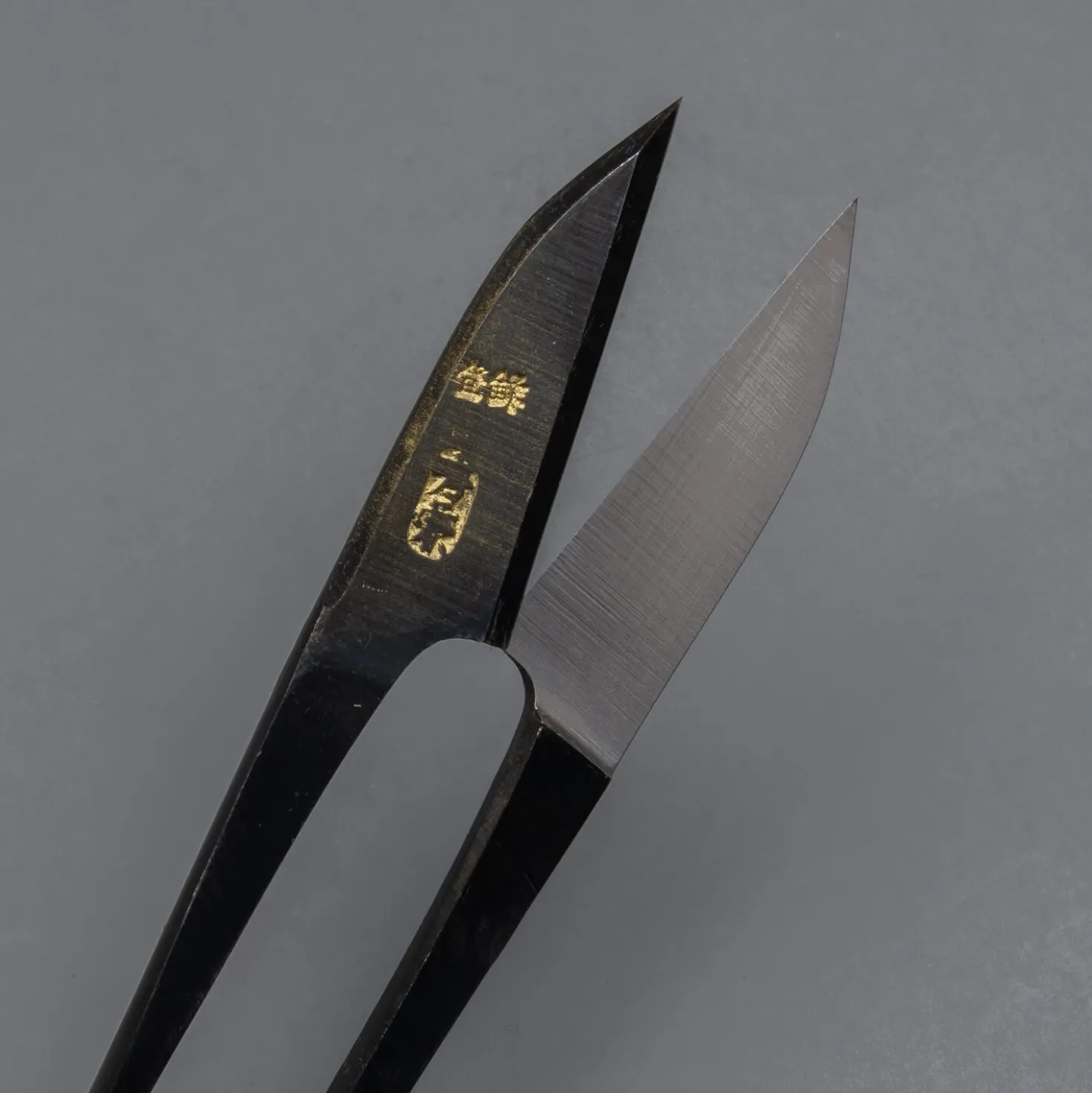 Japanse Kruidenschaar 12 cm