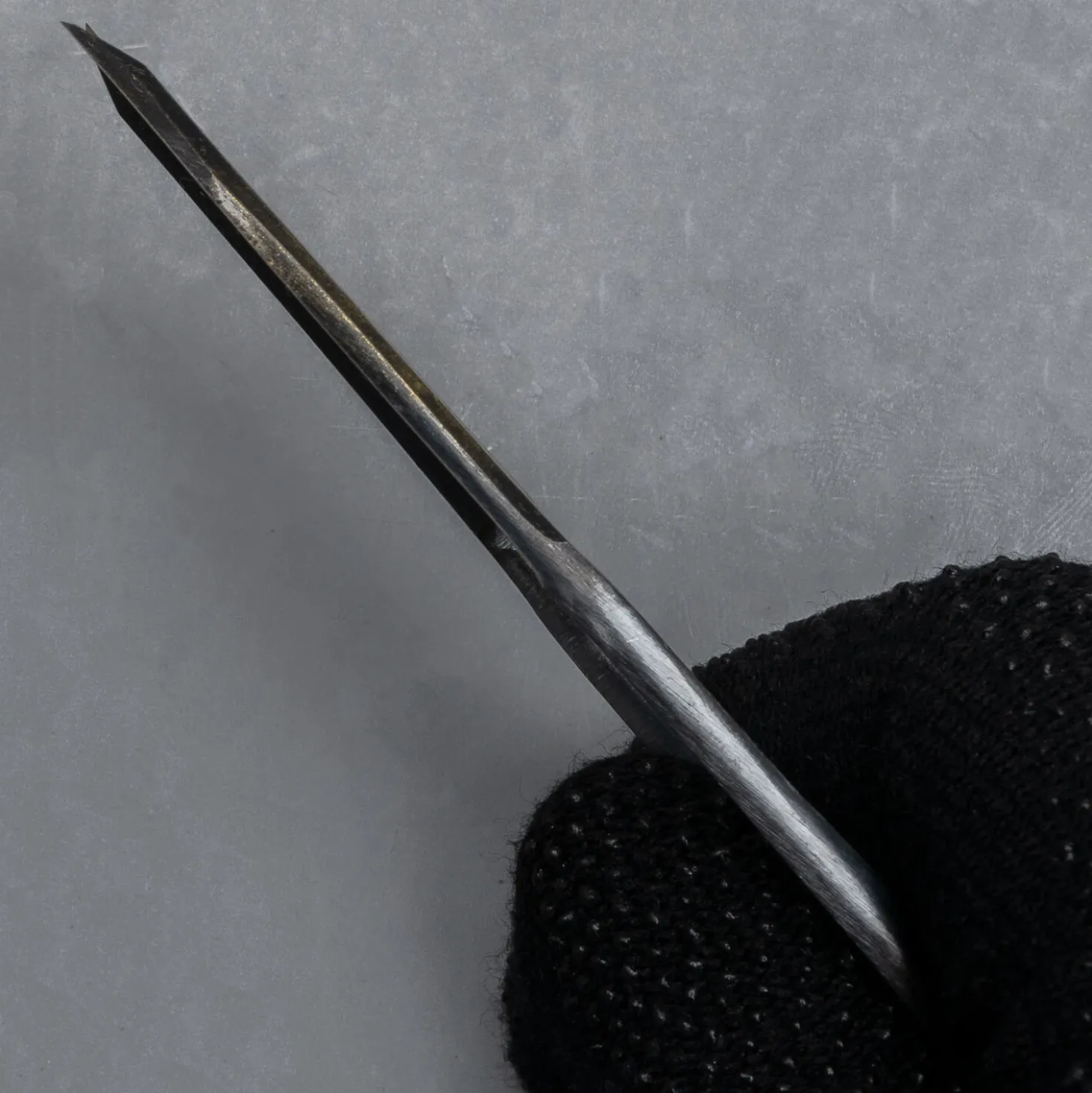 Japanse Kruidenschaar 12 cm