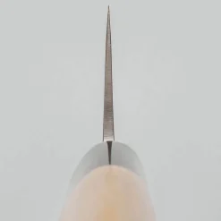 JNS Kaeru Kasumi SLD Dragon D-Handle Gyuto 24 cm