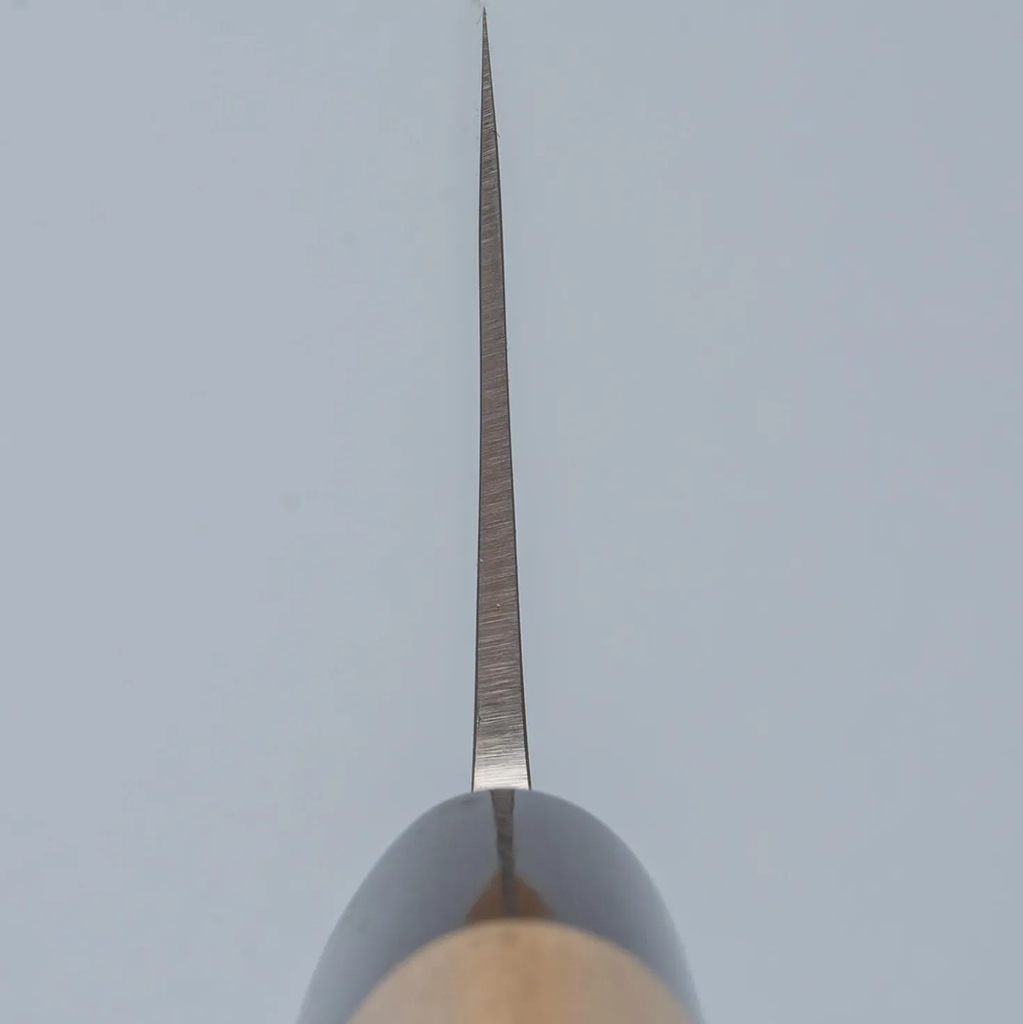 JNS Kaeru Kasumi SLD Nakiri 18 cm