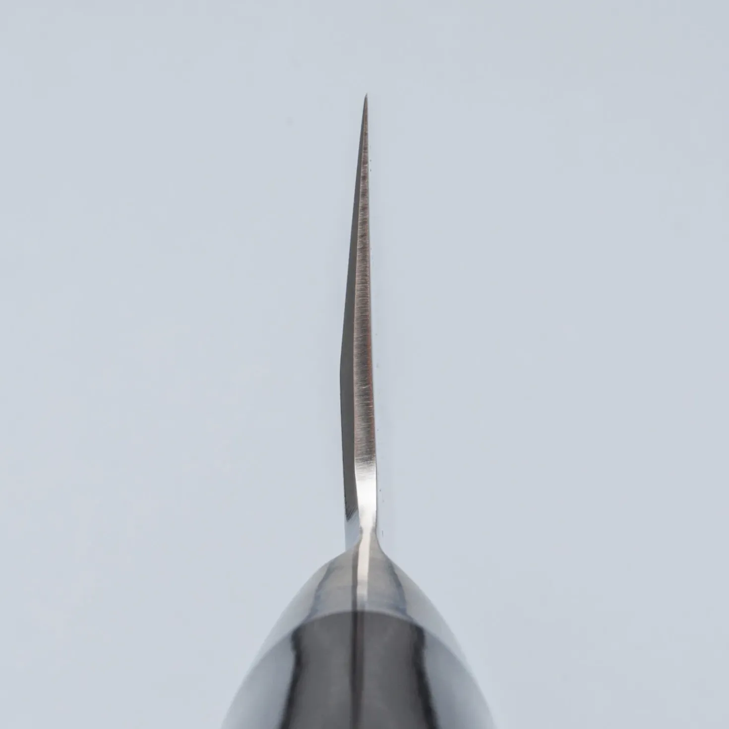 Kai Shun Pro Sho Deba 16.5 cm