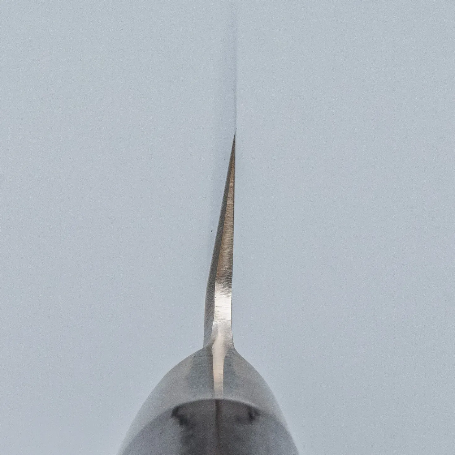 Kai Shun Pro Sho Yanagiba 24 cm