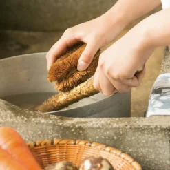 Kamenoko Tawasi Japanse Borstel