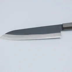 Kazoku Aogami 2 Kurouchi Gyuto 21 cm