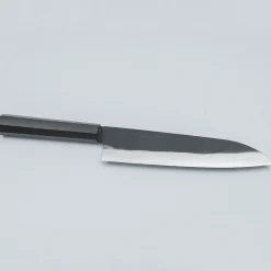 Kazoku Aogami 2 Kurouchi Gyuto 21 cm