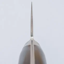 Kazoku Aogami #2 Migaki Gyuto 21 cm