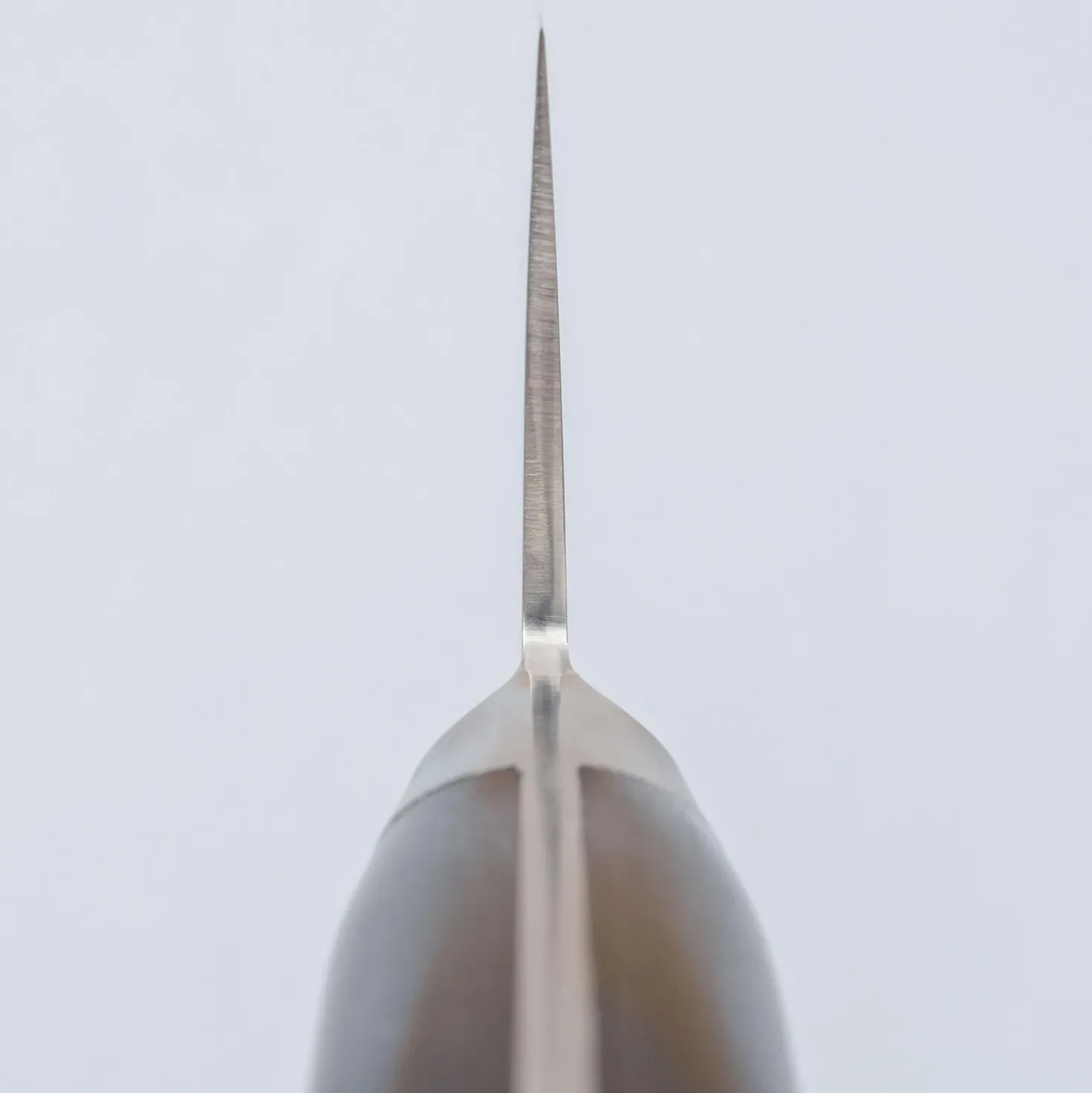 Kazoku Aogami #2 Migaki Gyuto 21 cm