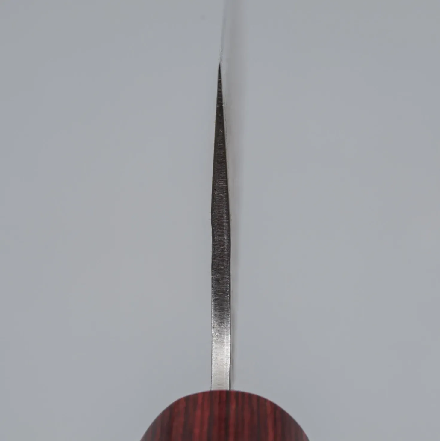 Kazoku Aogami Super Wa Migaki Gyuto 21 cm