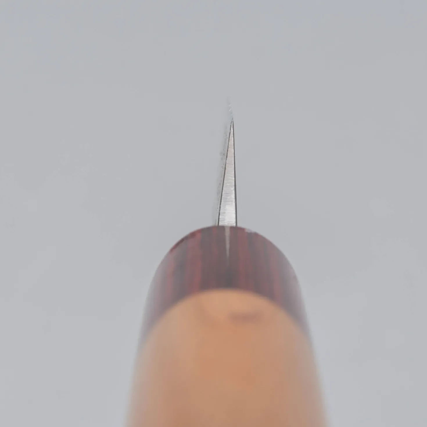 Kazoku Aogami Super Wa Migaki Petty 8 cm