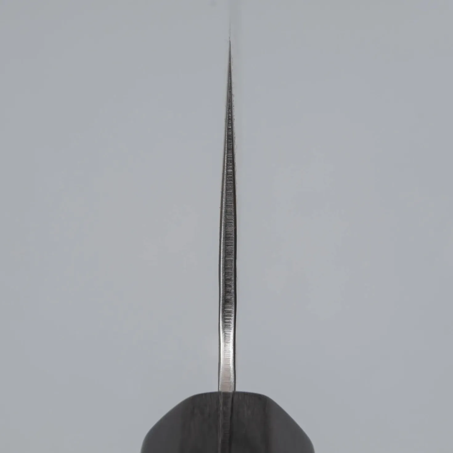 Kazoku Aogami Super Wa Migaki Magnolia Nakiri