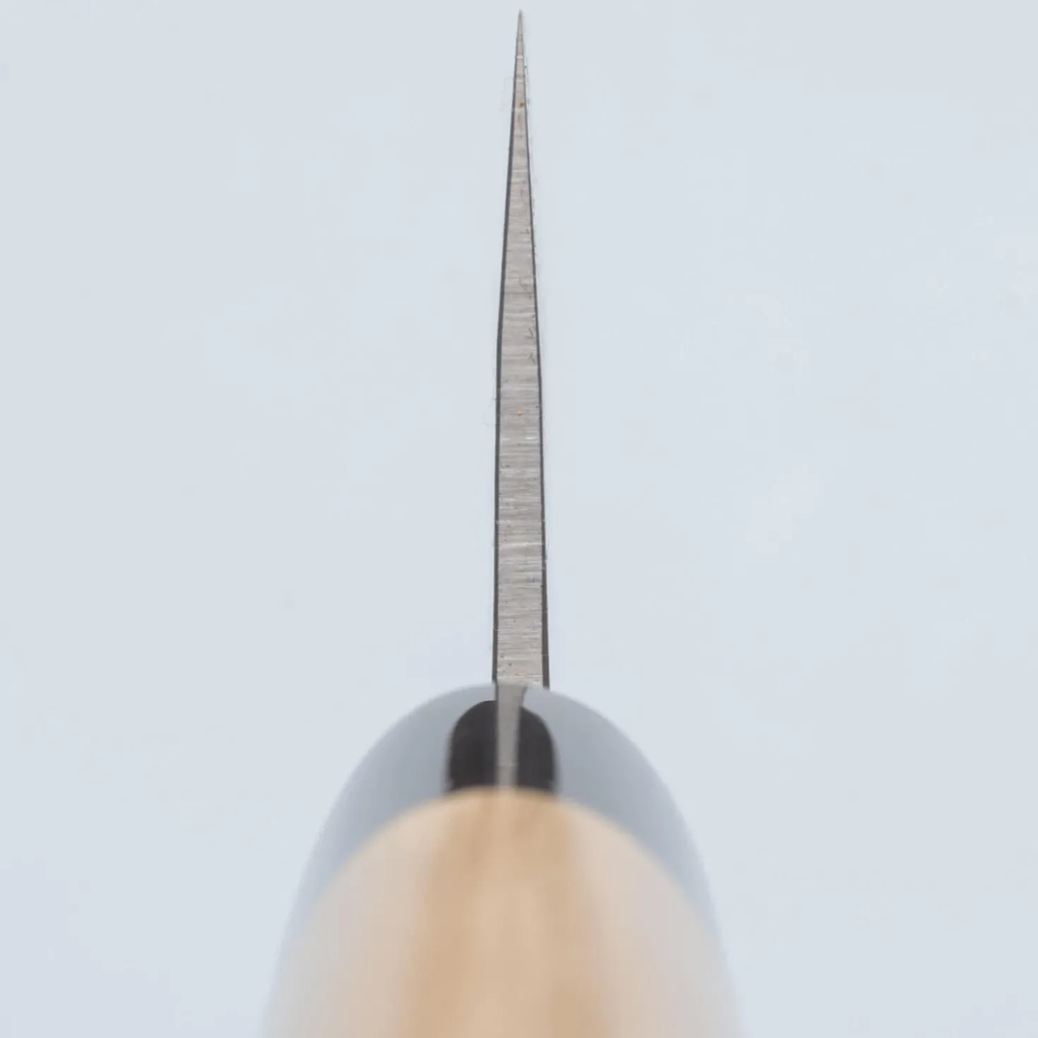 Kazoku Kage Aogami Gyuto 21 cm