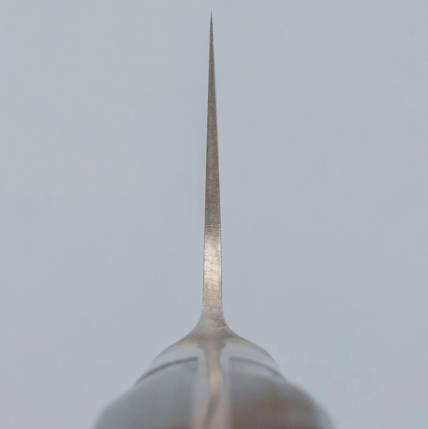 Kazoku Kurodama Gyuto 17.5 cm