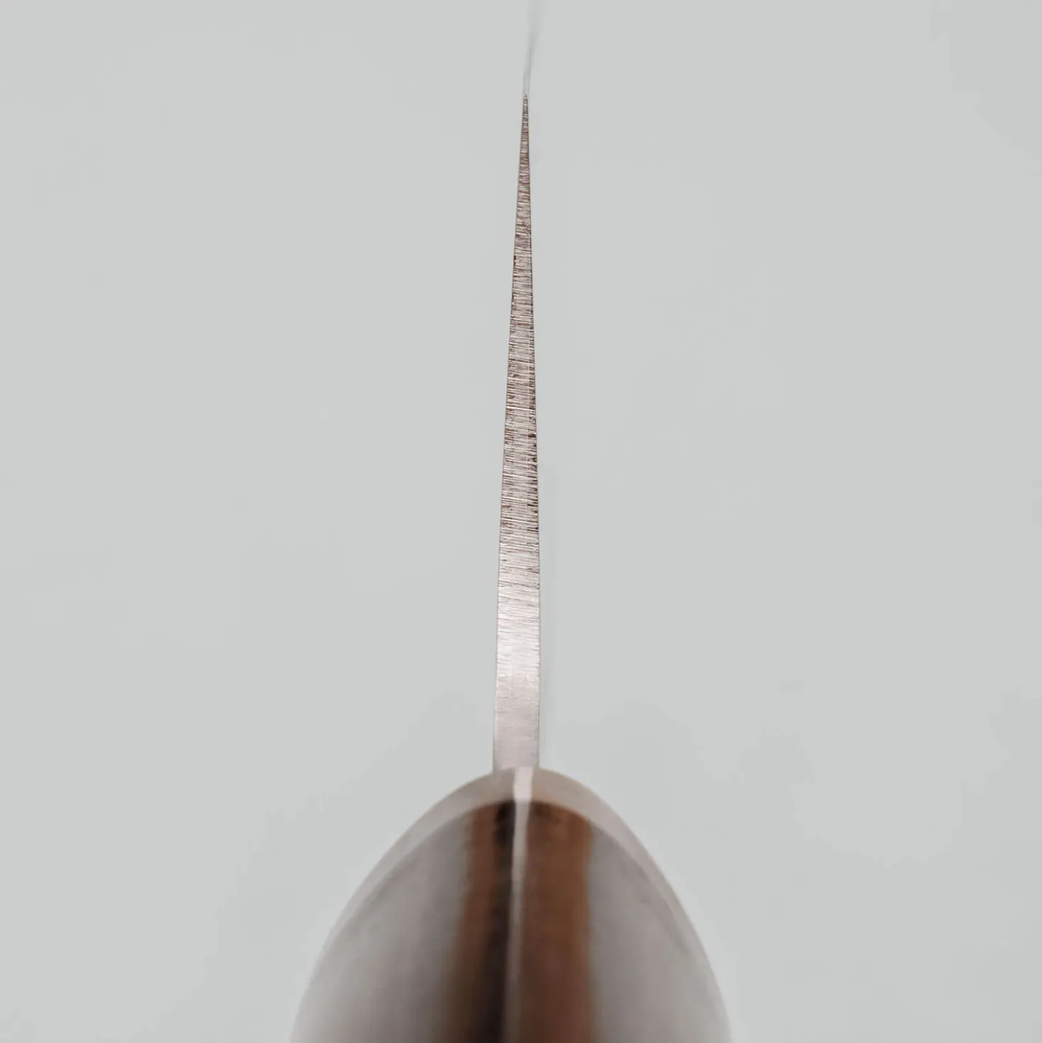 Kazoku Renka Bunka 16.5 cm