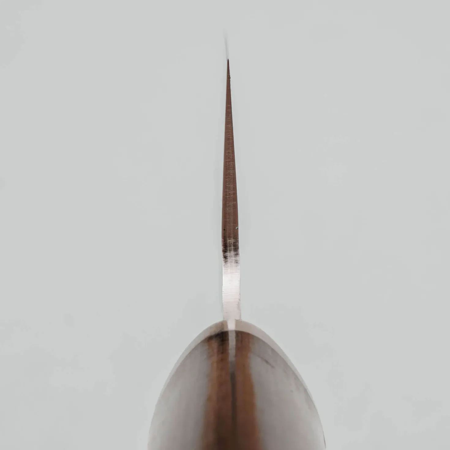 Kazoku Renka Gyuto 20 cm