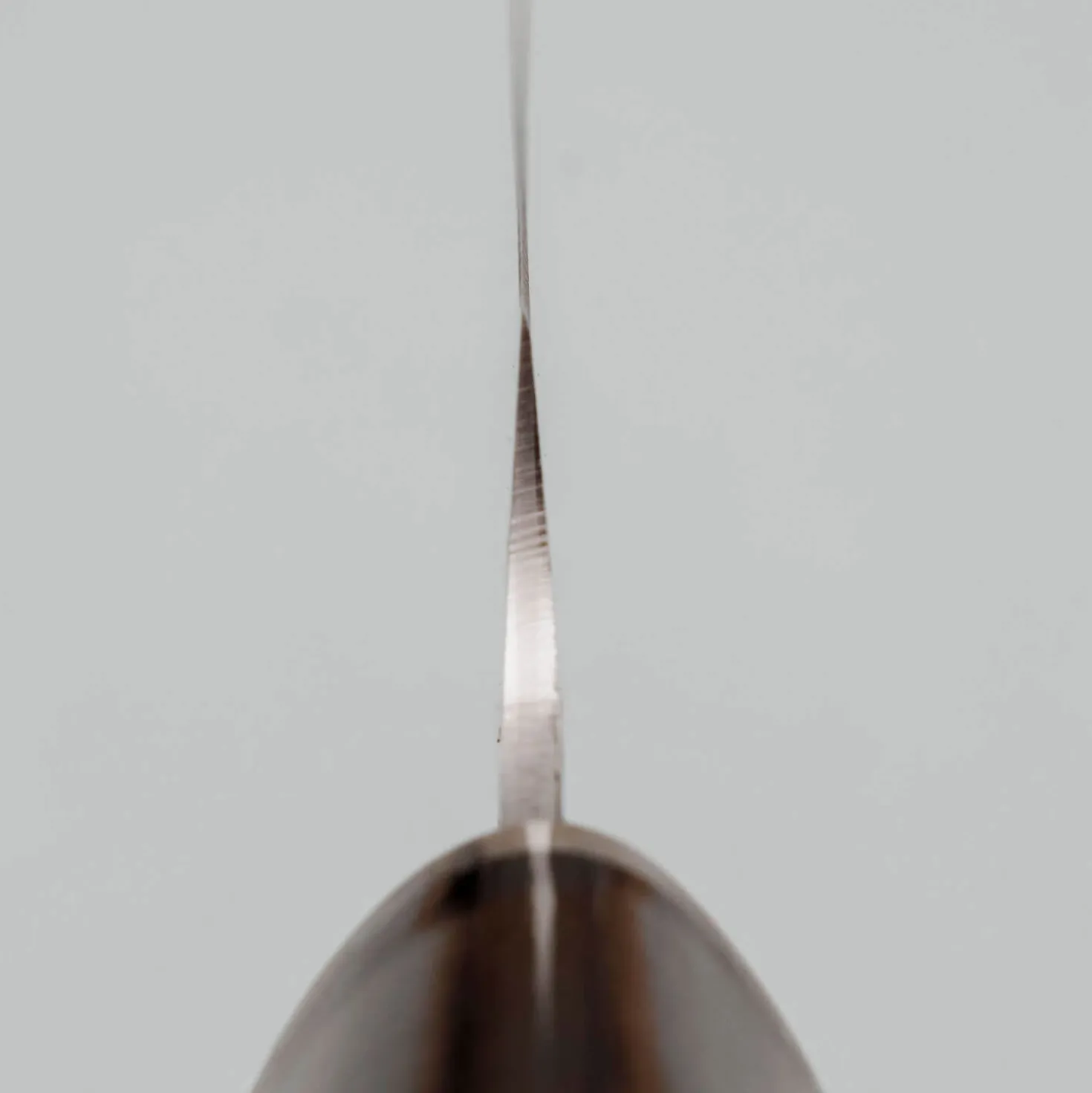 Kazoku Renka Petty 12 cm