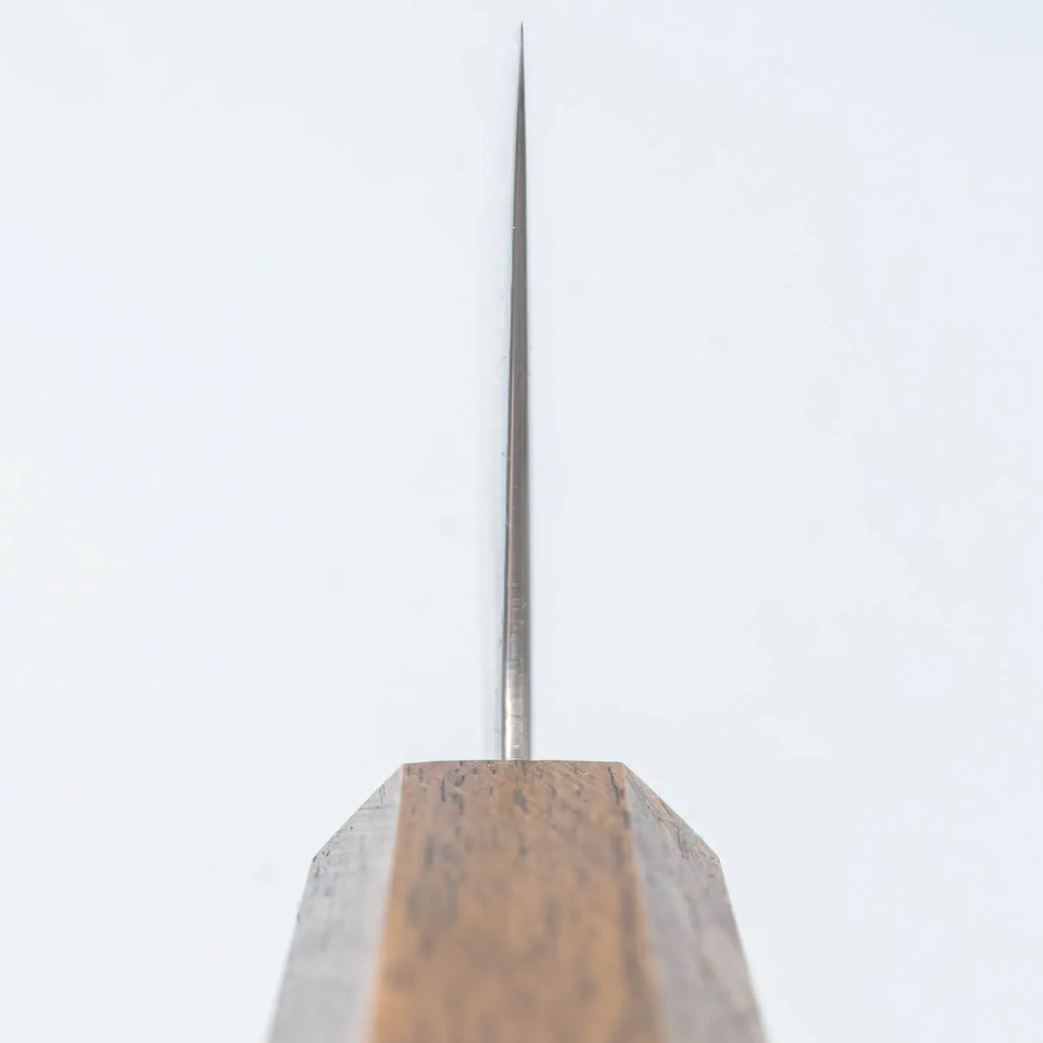 Kazoku Taifuu Gyuto 24 cm