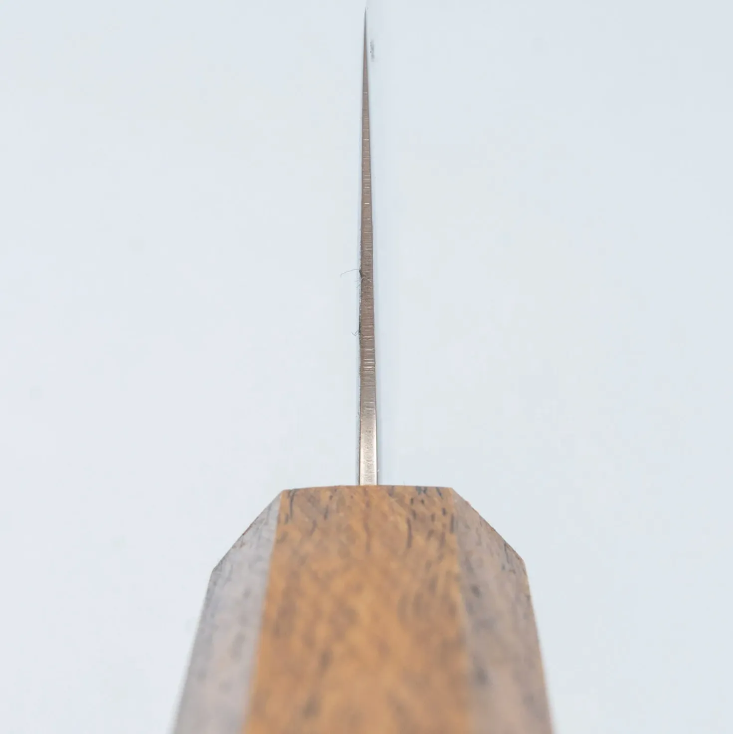 Kazoku Taifuu Gyuto 18 cm
