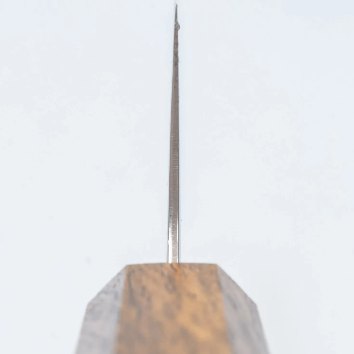 Kazoku Taifuu Kiritsuke 21 cm