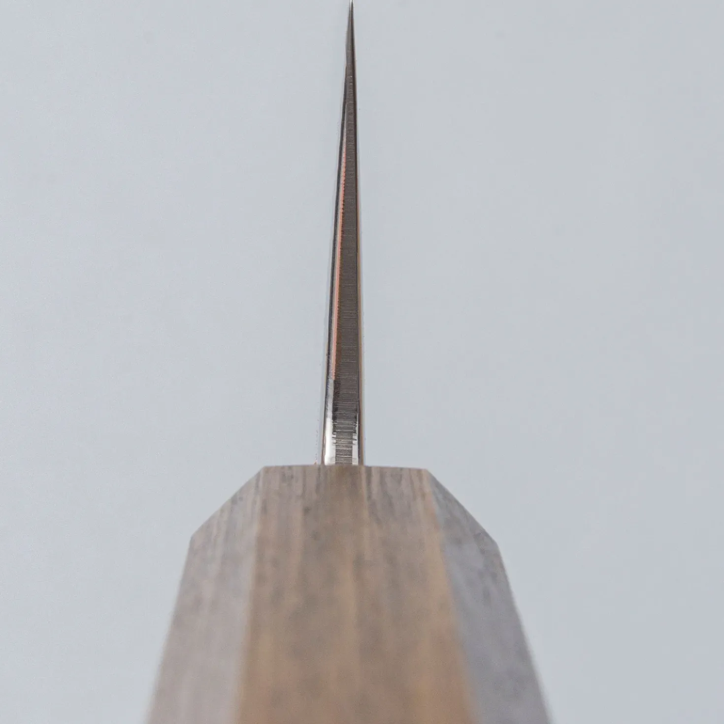 Kazoku Taifuu Zen Gyuto 21 cm