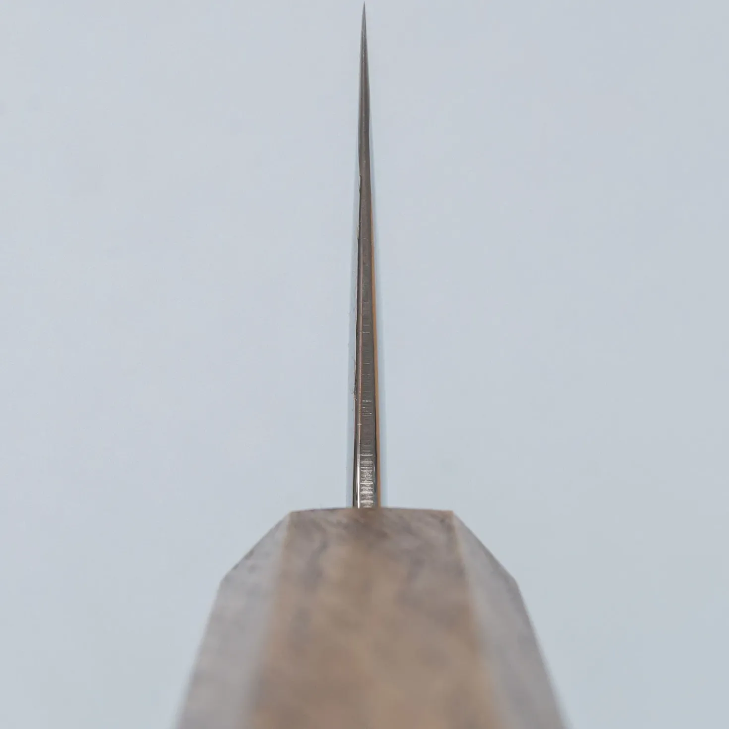 Kazoku Taifuu Zen Gyuto 24 cm