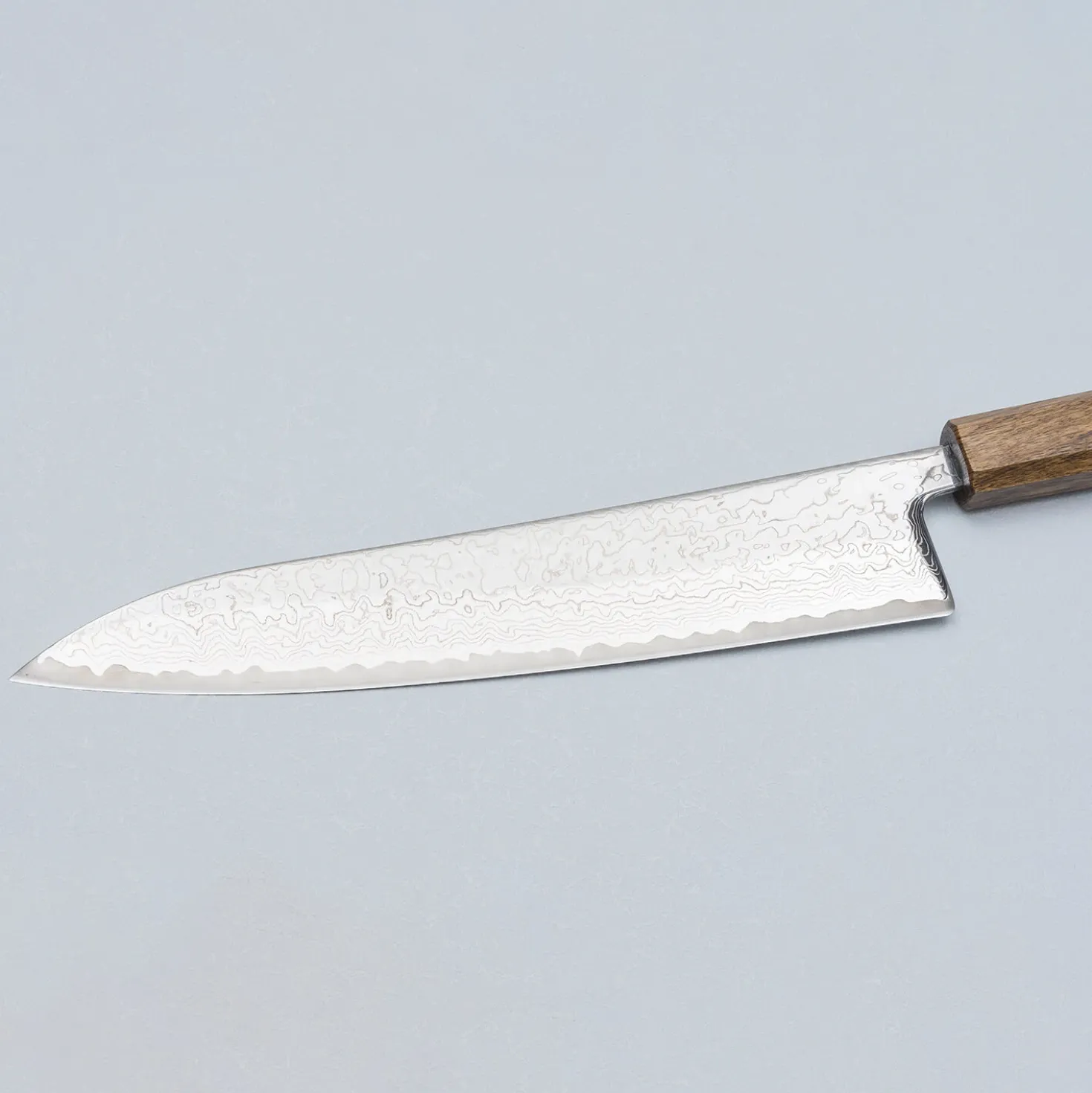 Kazoku Taifuu Zen Gyuto 24 cm