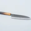 Kazoku x Tosa Aogami Gyuto 24 cm