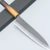 Kazoku x Tosa Aogami Gyuto 21 cm
