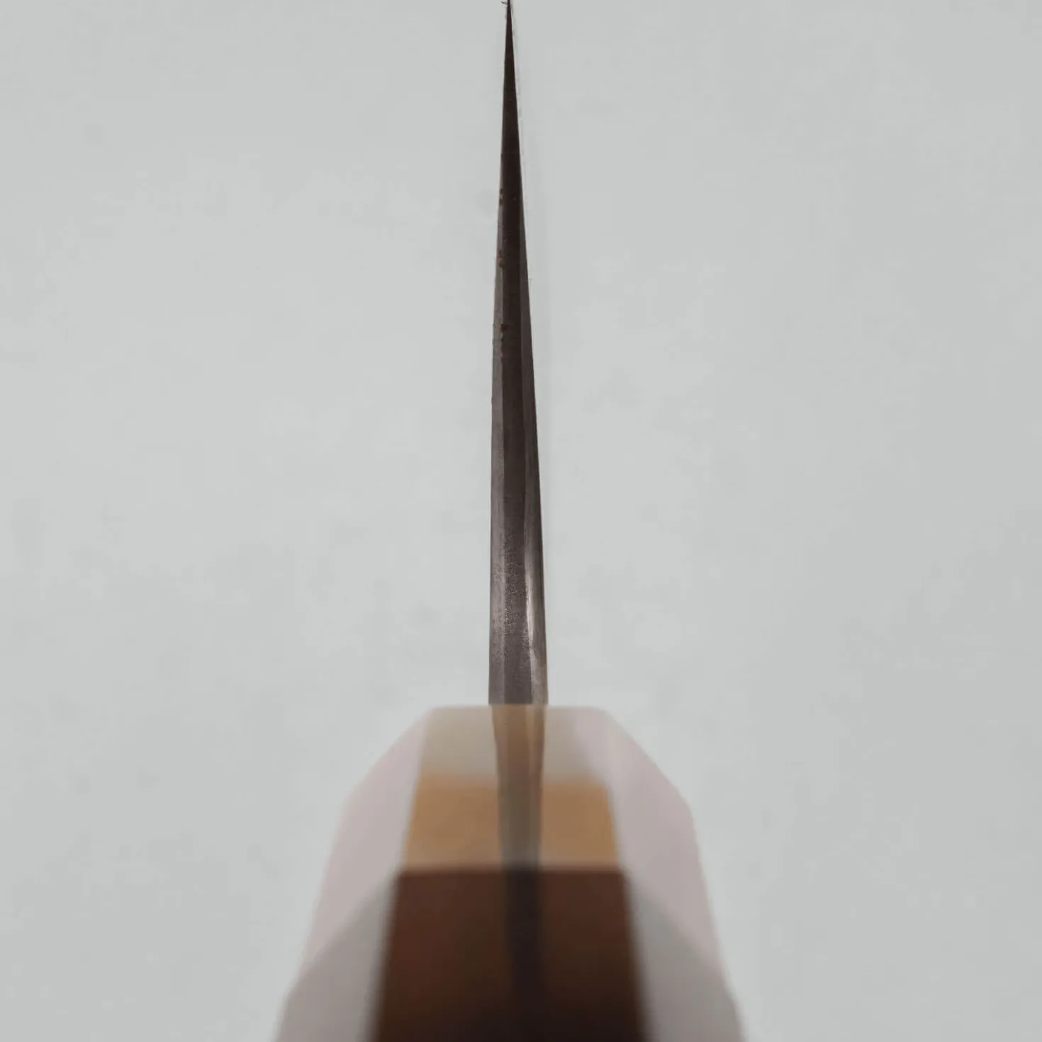 Kazoku x Wakui Bloomery Gyuto 24 cm