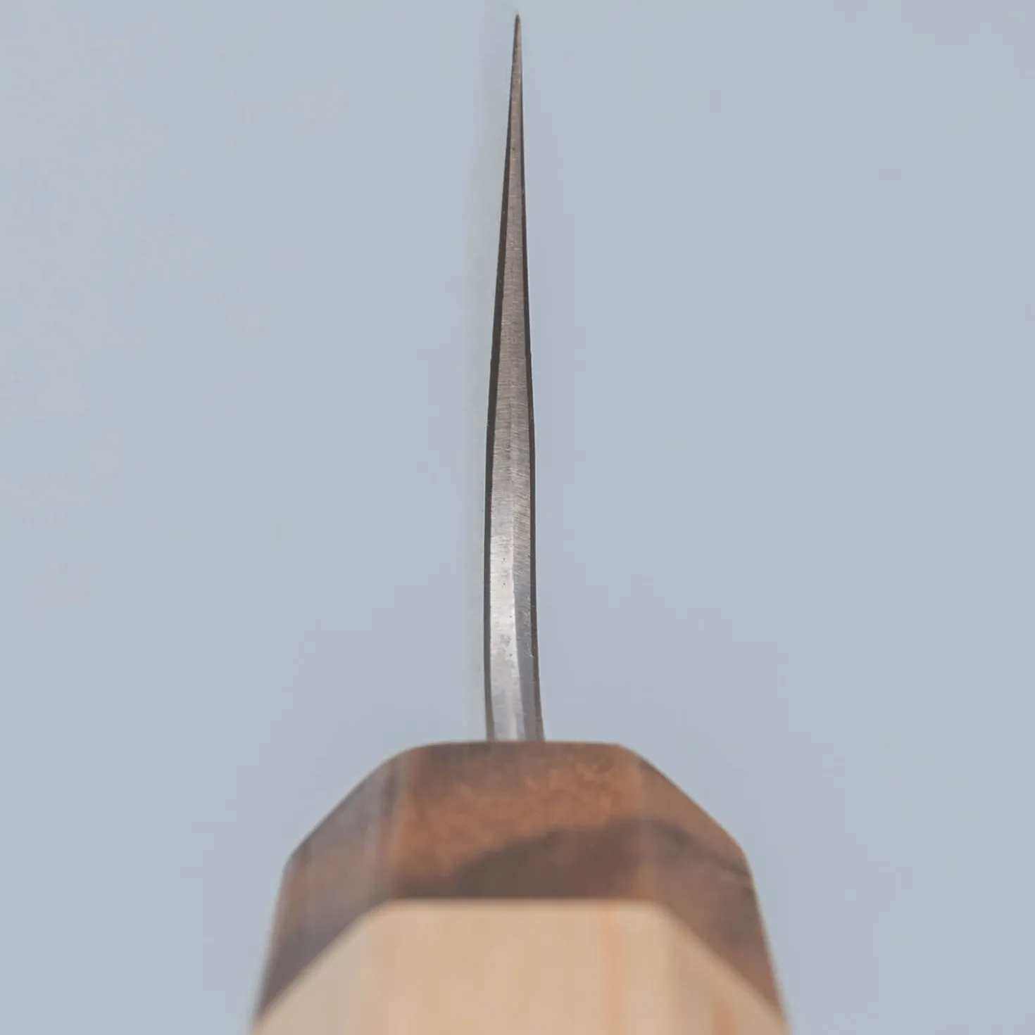 Kenshiro Hatono Shirogami #1 Nashiji Bunka 18 cm