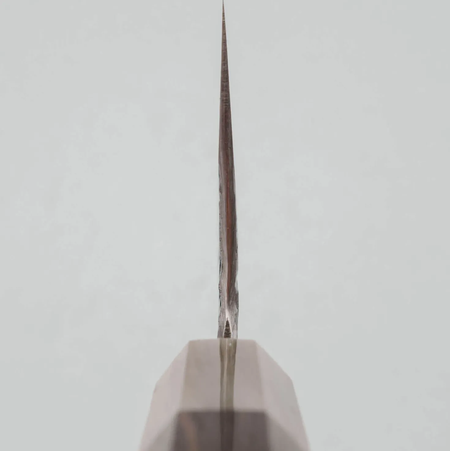 Kisuke x Kazoku Aogami 1 Bunka 16.5 cm #4