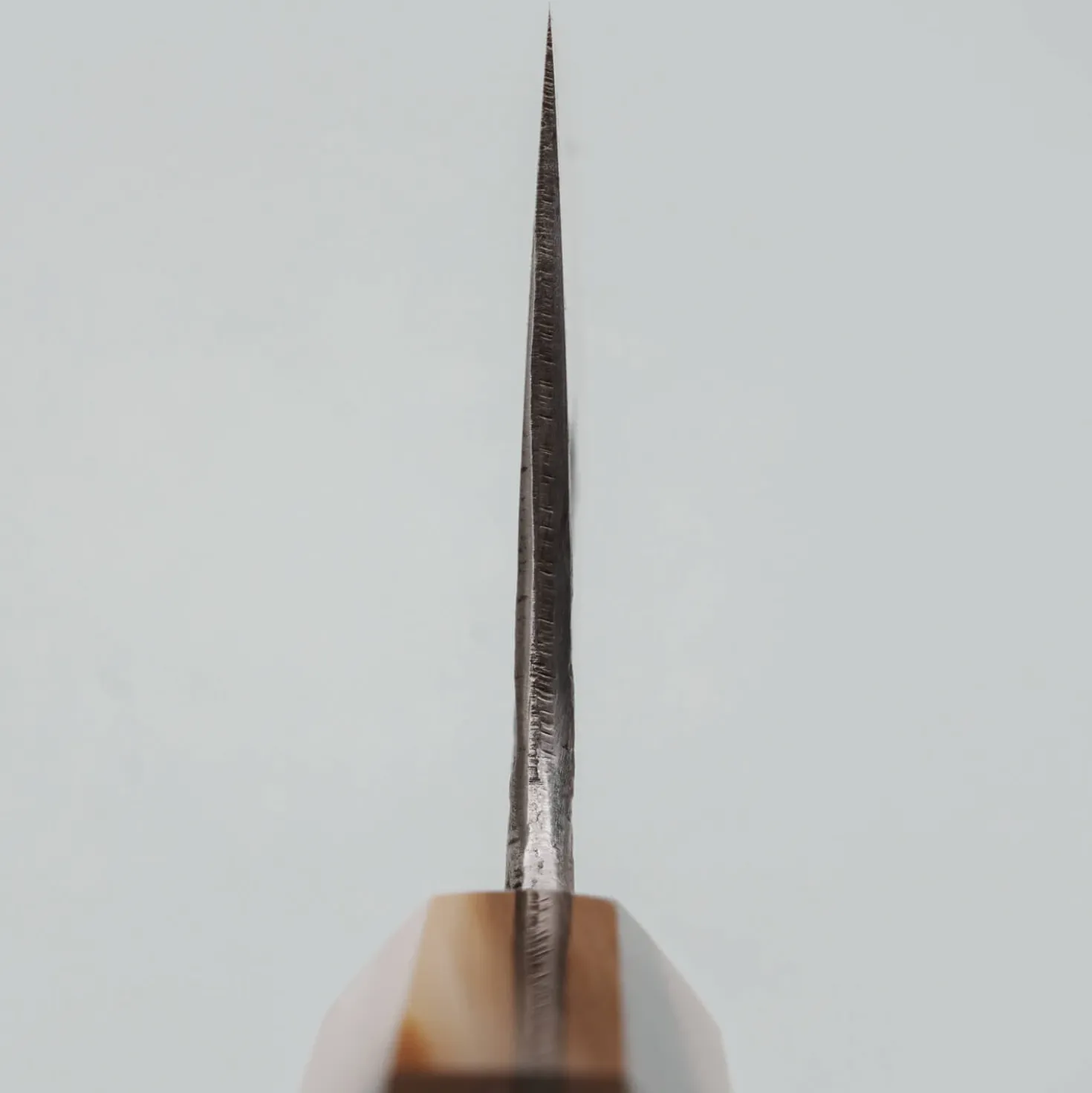 Kisuke x Kazoku Aogami 1 Bunka 16.5 cm