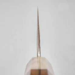 Kisuke x Kazoku Aogami 1 Gyuto 24 cm #1