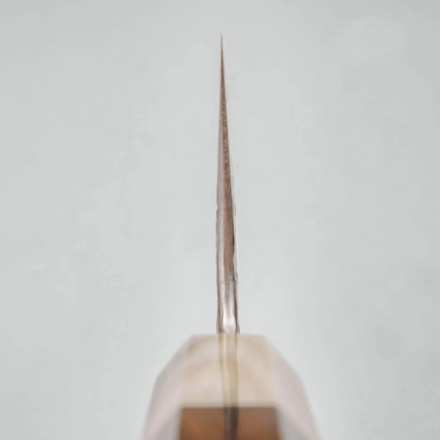 Kisuke x Kazoku Aogami 1 Gyuto 24 cm #1