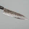 Kisuke x Kazoku Aogami 1 Gyuto 21 cm #2