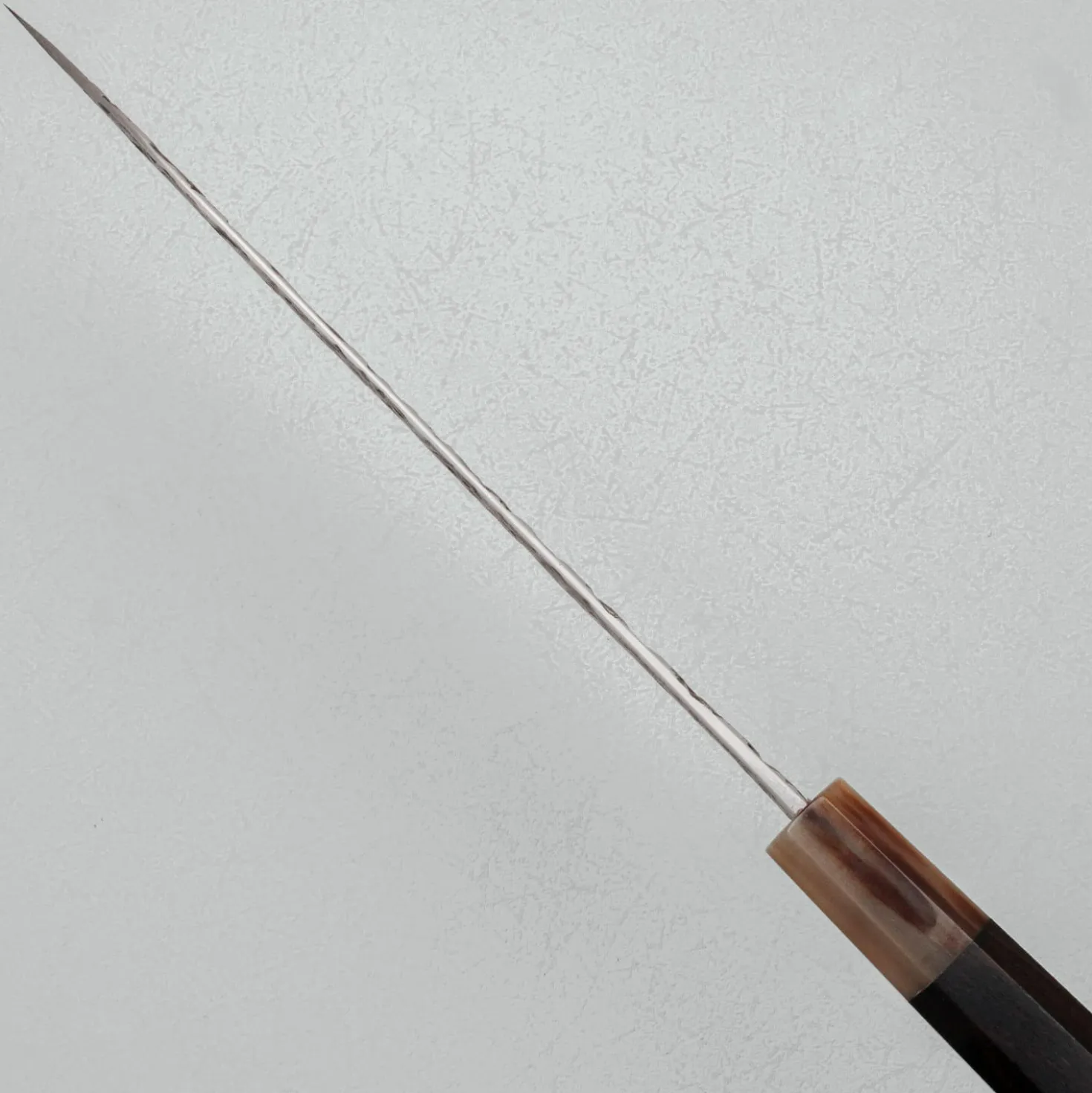 Kisuke x Kazoku Aogami 1 Gyuto 21 cm #4