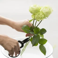 Kobayashi Seikyo Snoeischaar Florist