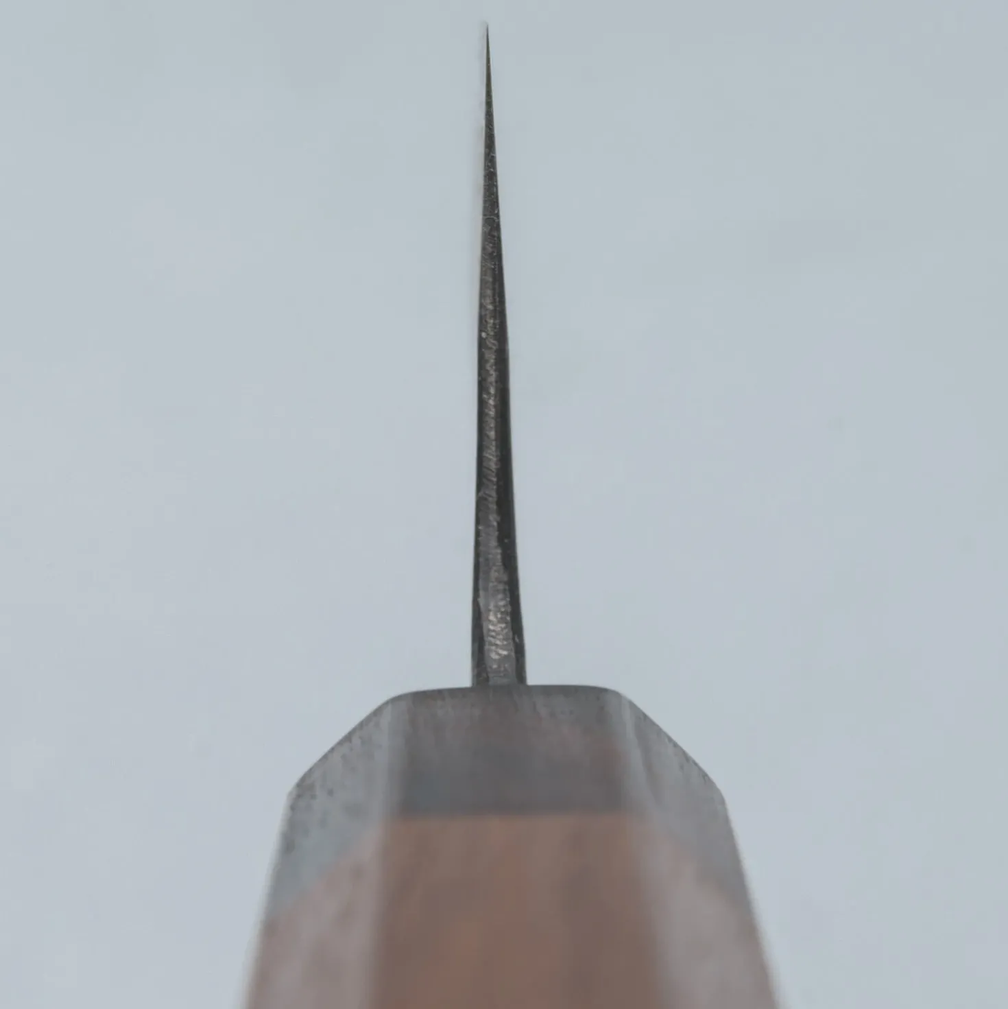 Kyohei Aogami Walnut Santoku 16.5 cm