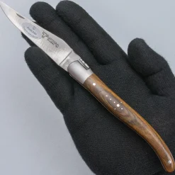 Laguiole en Aubrac Classic Zakmes Pistachio Cheesewood 12 cm