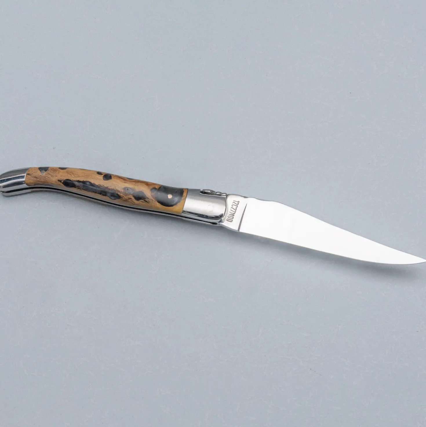 Laguiole en Aubrac Classic Zakmes Cactus 12 cm