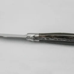 Laguiole en Aubrac Damascus Steakmes Hoorn 4 delig