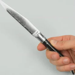 Laguiole en Aubrac Damascus Steakmes Hoorn 2 delig