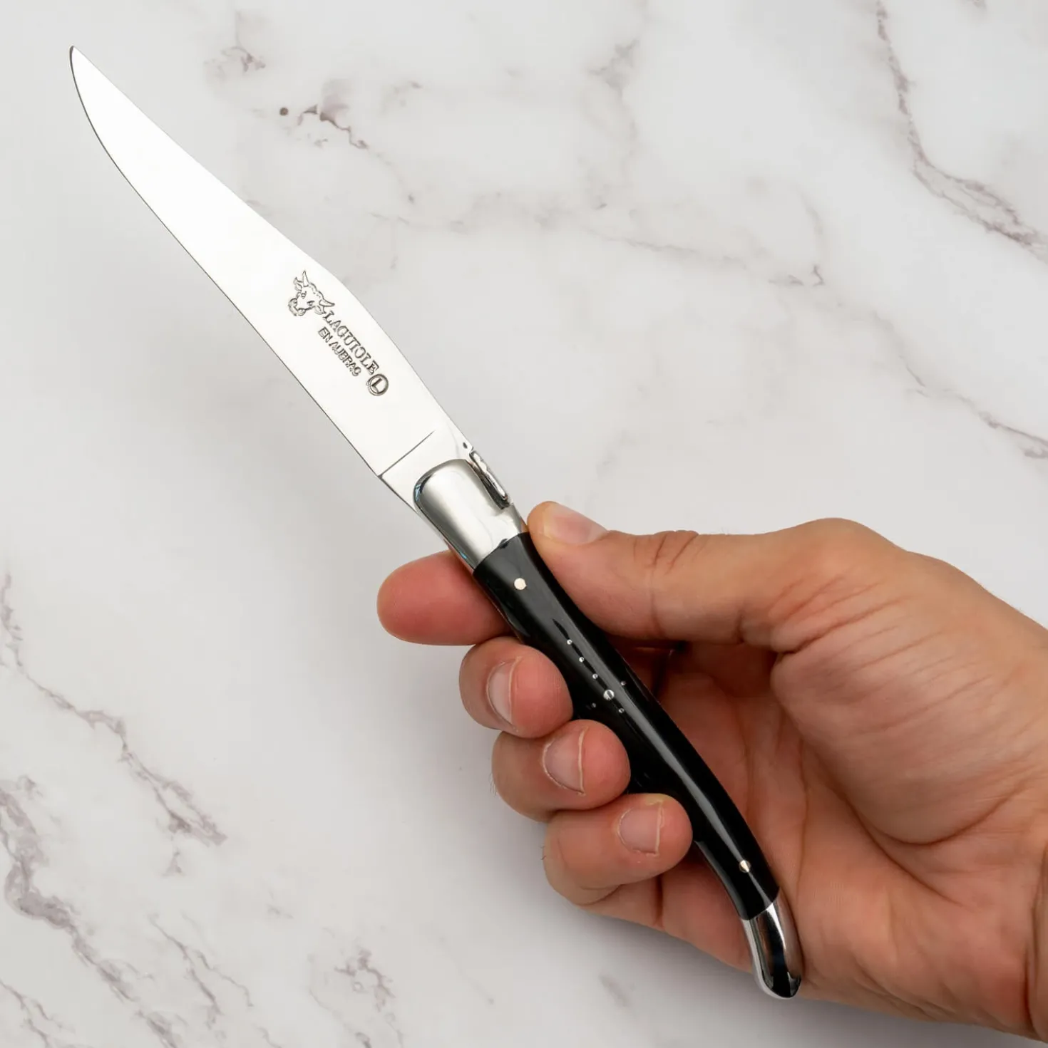 Laguiole en Aubrac Steakmessenset Buffelhoorn 6 delig