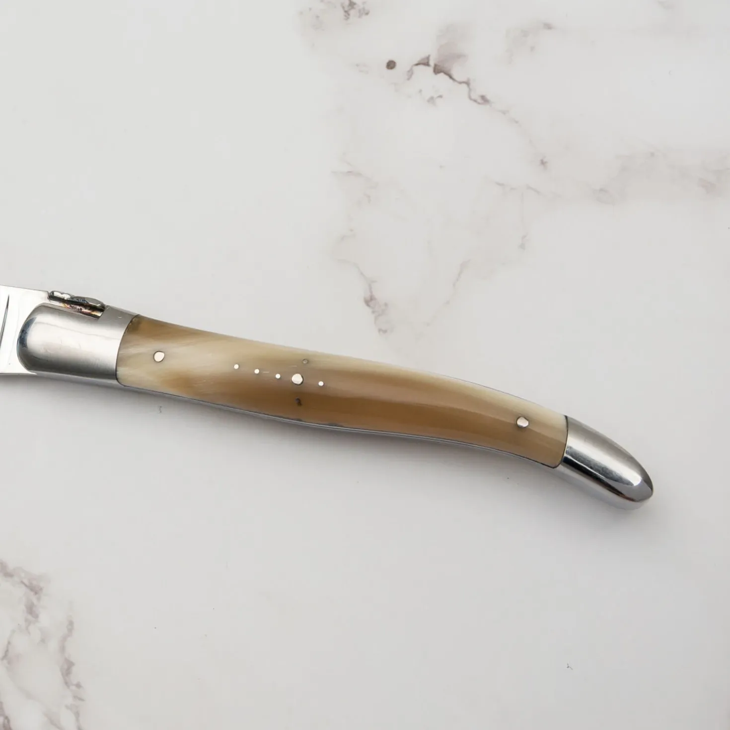 Laguiole en Aubrac Steakmessenset Hoorn 6 delig