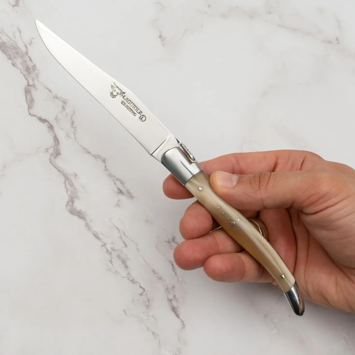 Laguiole en Aubrac Steakmessenset Hoorn 6 delig