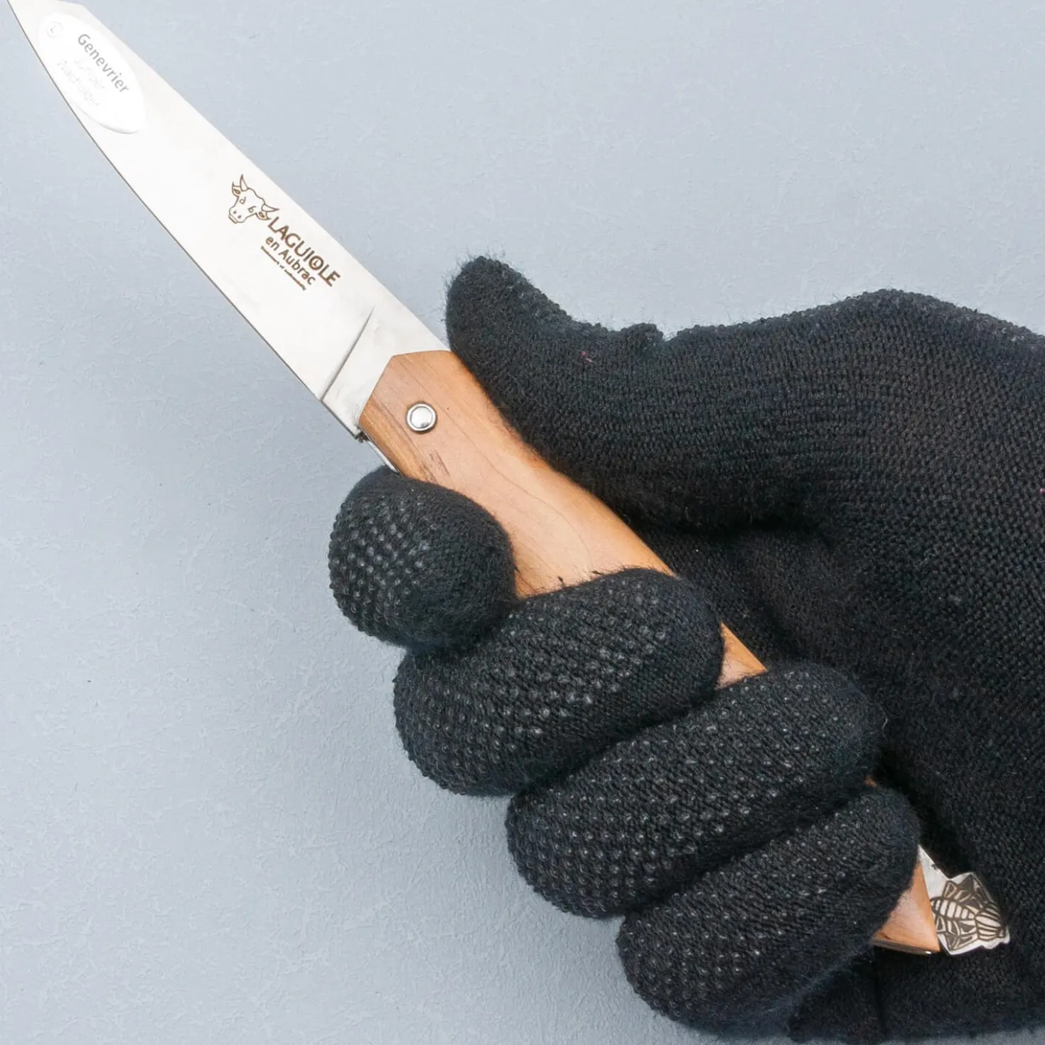 Laguiole en Aubrac Zakmes Bee-Back Jevenerbeshout 11 cm