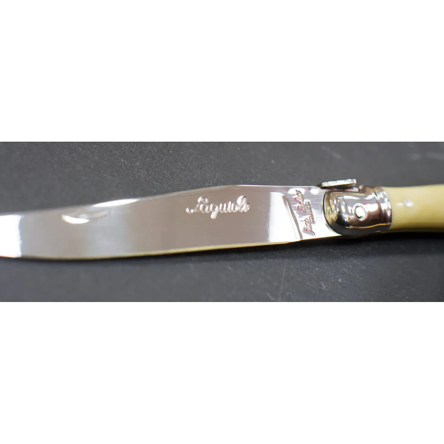 Laguiole Steakmessen Jean Dubost Ivoor