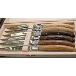 Laguiole Steakmessen Jean Dubost Gemengd