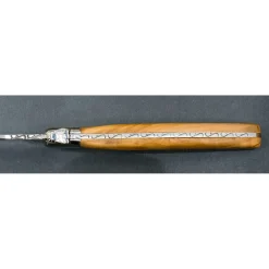 Laguiole Steakmessen Jean Dubost Olijfhout 4 delig